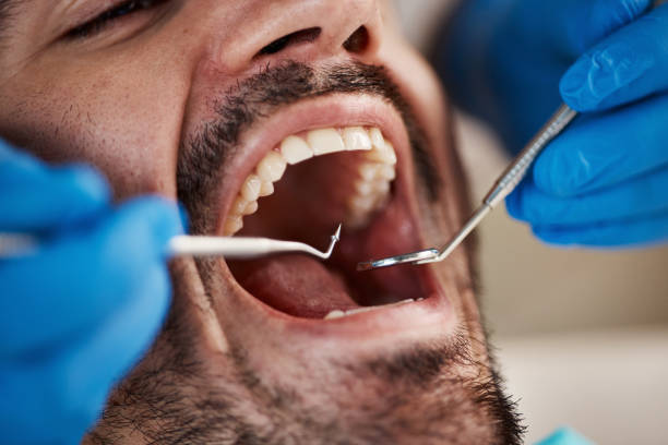 Professional Holistic Dental Care Services in Jefferson, TX